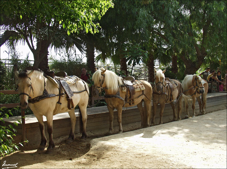 Foto de Vilassar (Barcelona), España