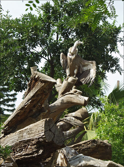 Foto de Vilassar (Barcelona), España