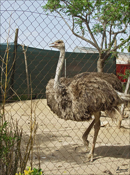 Foto de Vilassar (Barcelona), España