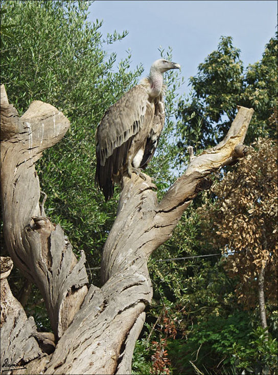 Foto de Vilassar (Barcelona), España