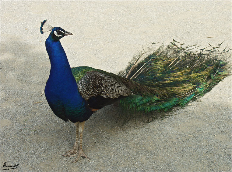 Foto de Vilassar (Barcelona), España