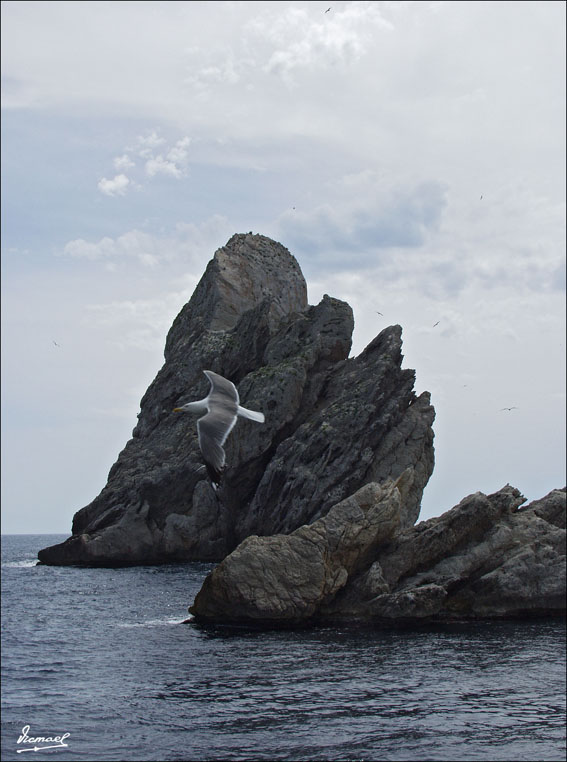 Foto de Islas Medas (Girona), España