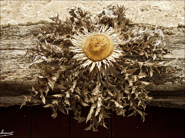 Foto de Besalú (Girona), España