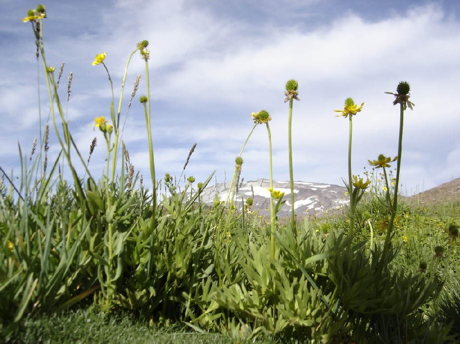Foto de Neuquen, Argentina