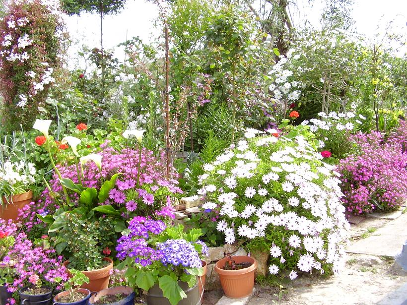 Foto de Puerto Serrano (Cádiz), España