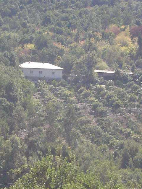 Foto de OLMUE, Chile