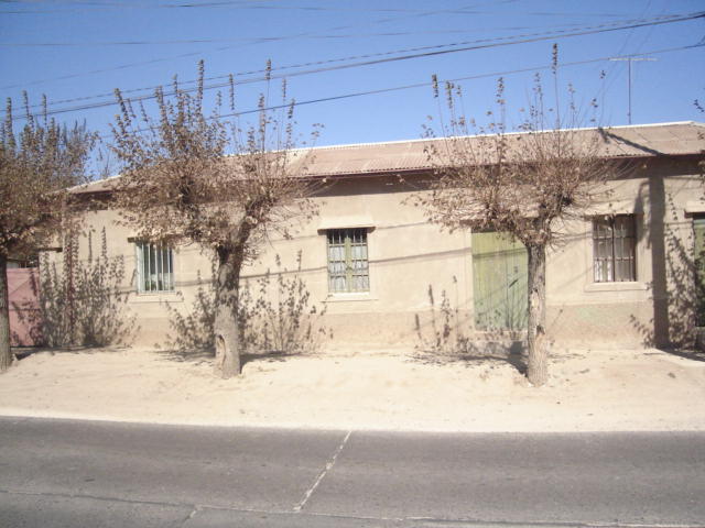 Foto de OLMUE, Chile