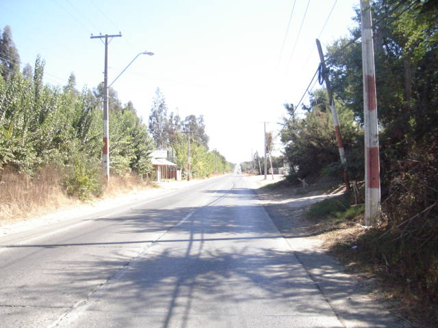 Foto de LIMACHE, Chile