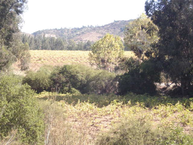 Foto de VILLA ALEMANA, Chile