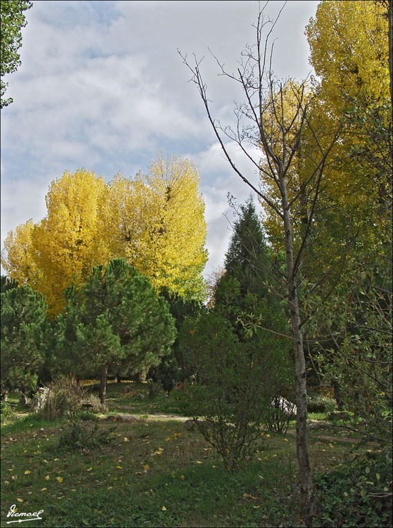 Foto de Burgos (Castilla y León), España