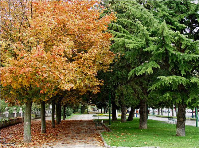 Foto de Burgos (Castilla y León), España