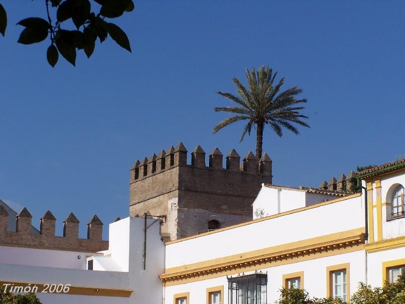 Foto de Sevilla (Andalucía), España