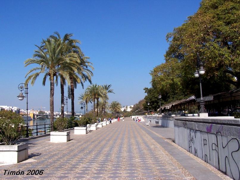 Foto de Sevilla (Andalucía), España