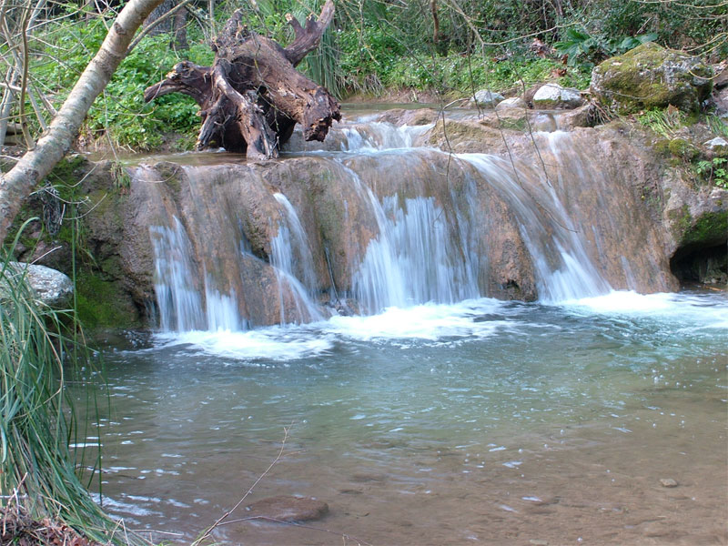 Foto de Esporlas - Mallorca (Illes Balears), España