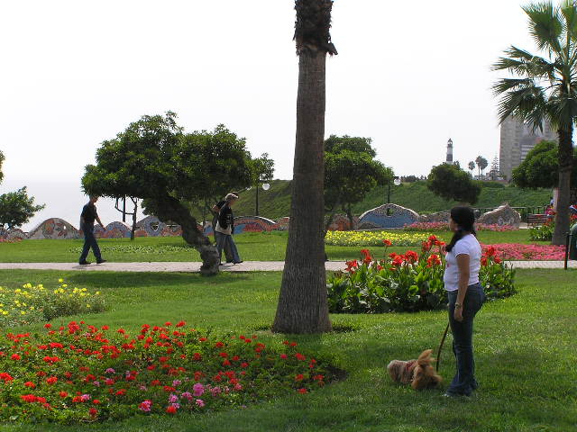 Foto de LIMA ,MIRAFLORES, Perú
