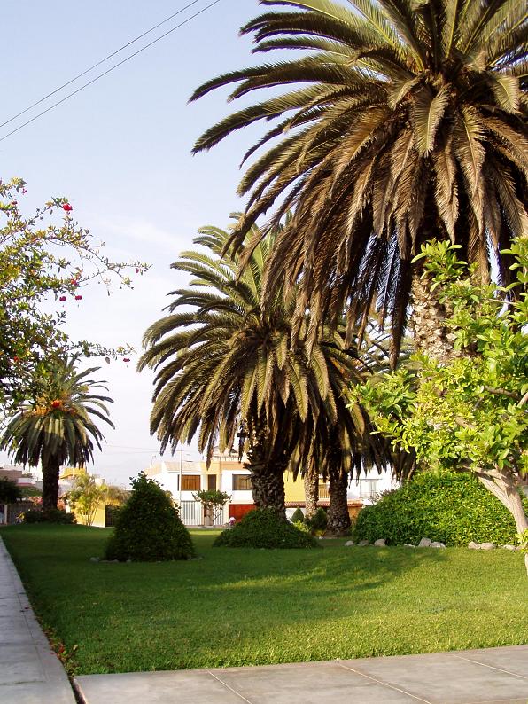 Foto de Trujillo, Perú