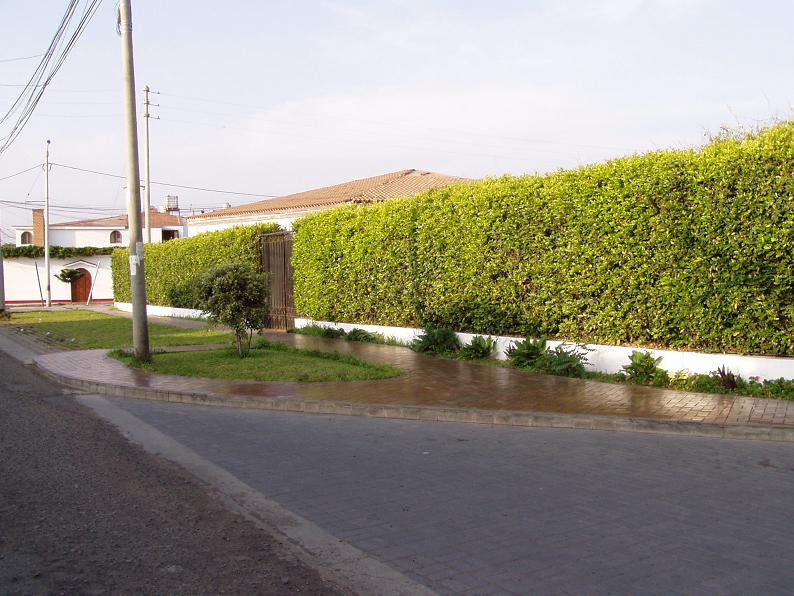 Foto de Trujillo, Perú