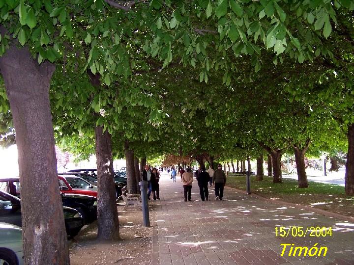 Foto de León (Castilla y León), España