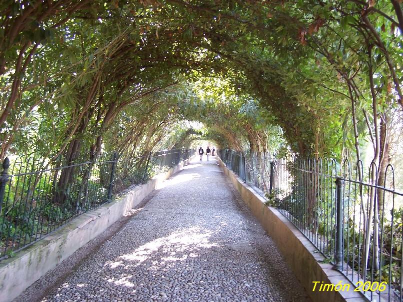 Foto de Granada (Andalucía), España