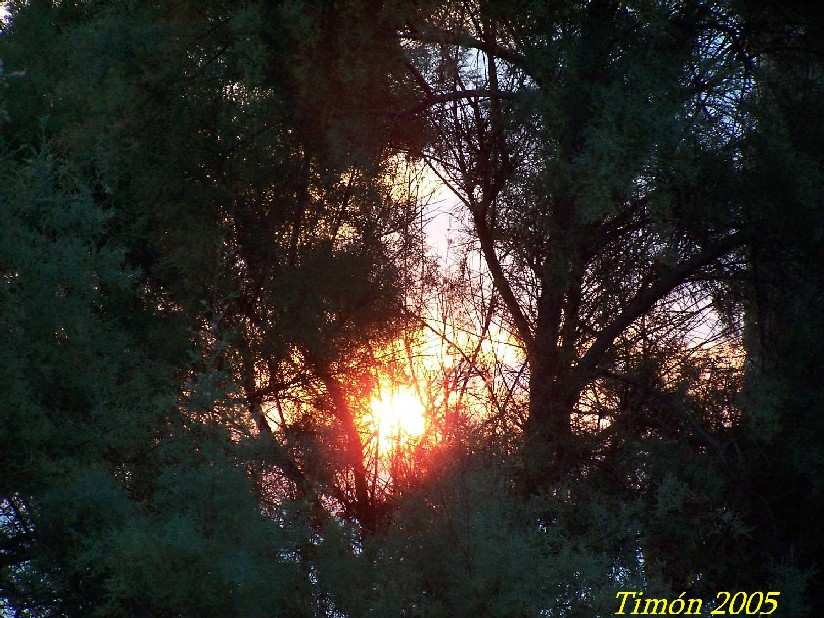 Foto de Torrevieja (Alicante), España