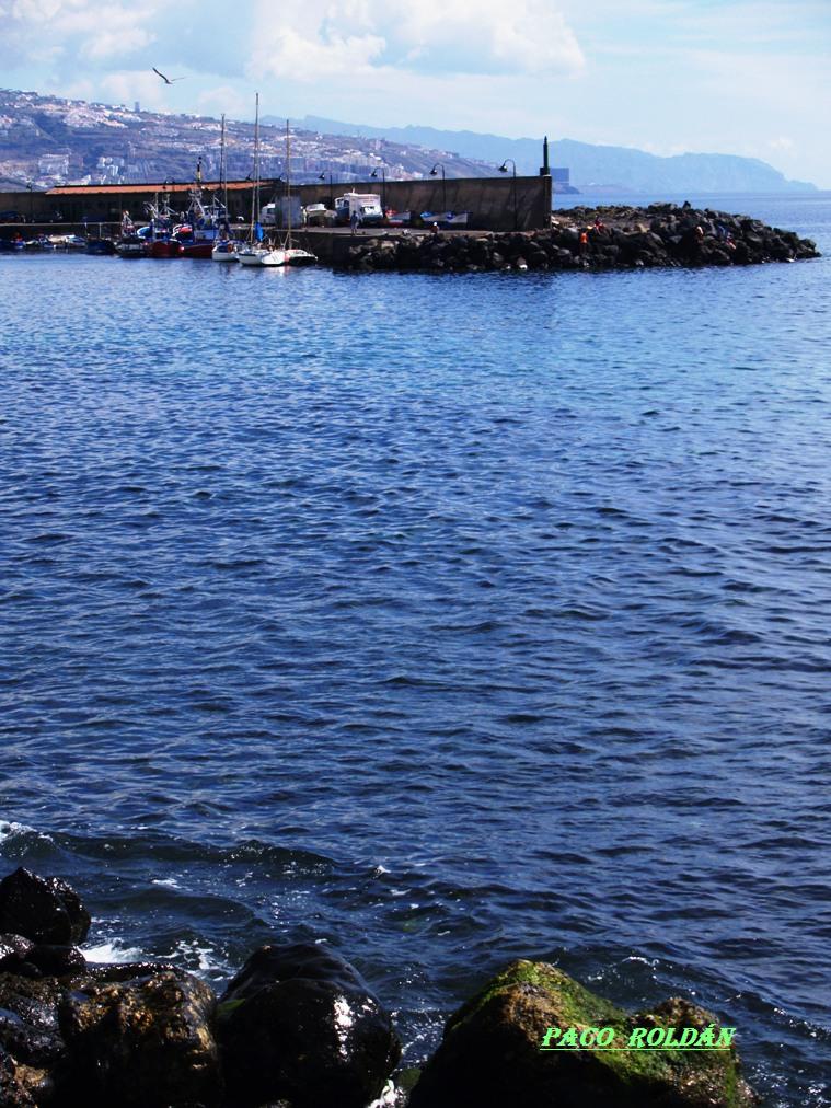 Foto de Candelaria (Santa Cruz de Tenerife), España