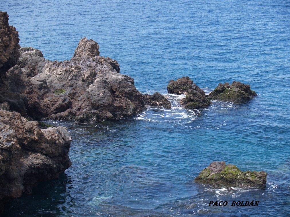 Foto de Tenerife (Santa Cruz de Tenerife), España