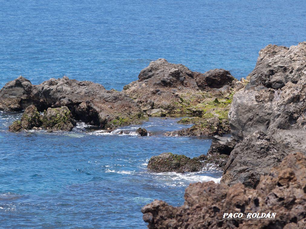 Foto de Tenerife (Santa Cruz de Tenerife), España