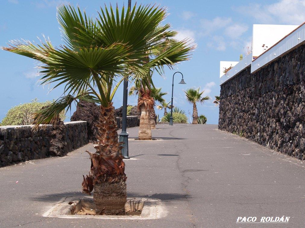 Foto de Tenerife (Santa Cruz de Tenerife), España