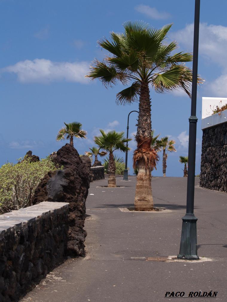 Foto de Tenerife (Santa Cruz de Tenerife), España