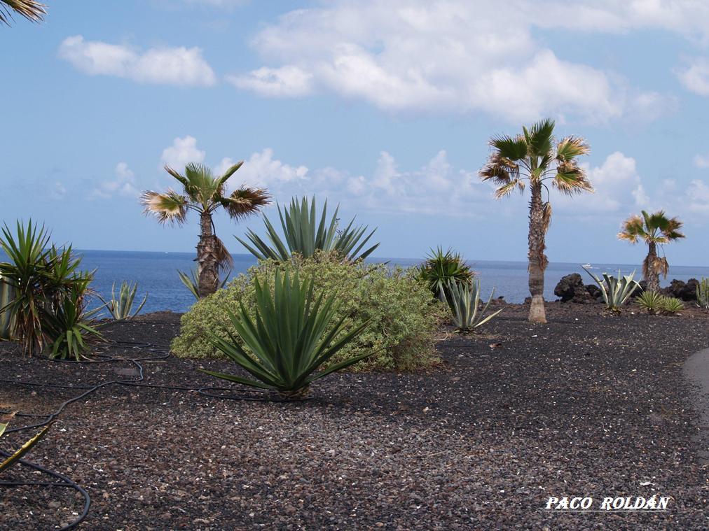 Foto de Tenerife (Santa Cruz de Tenerife), España