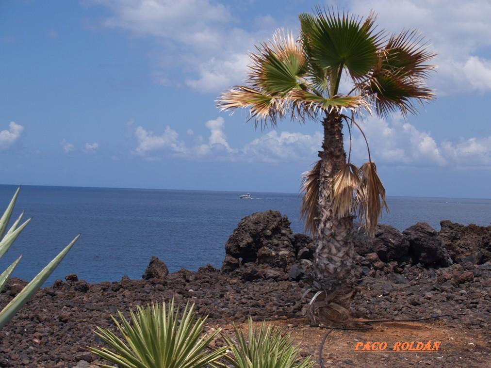 Foto de Tenerife (Santa Cruz de Tenerife), España