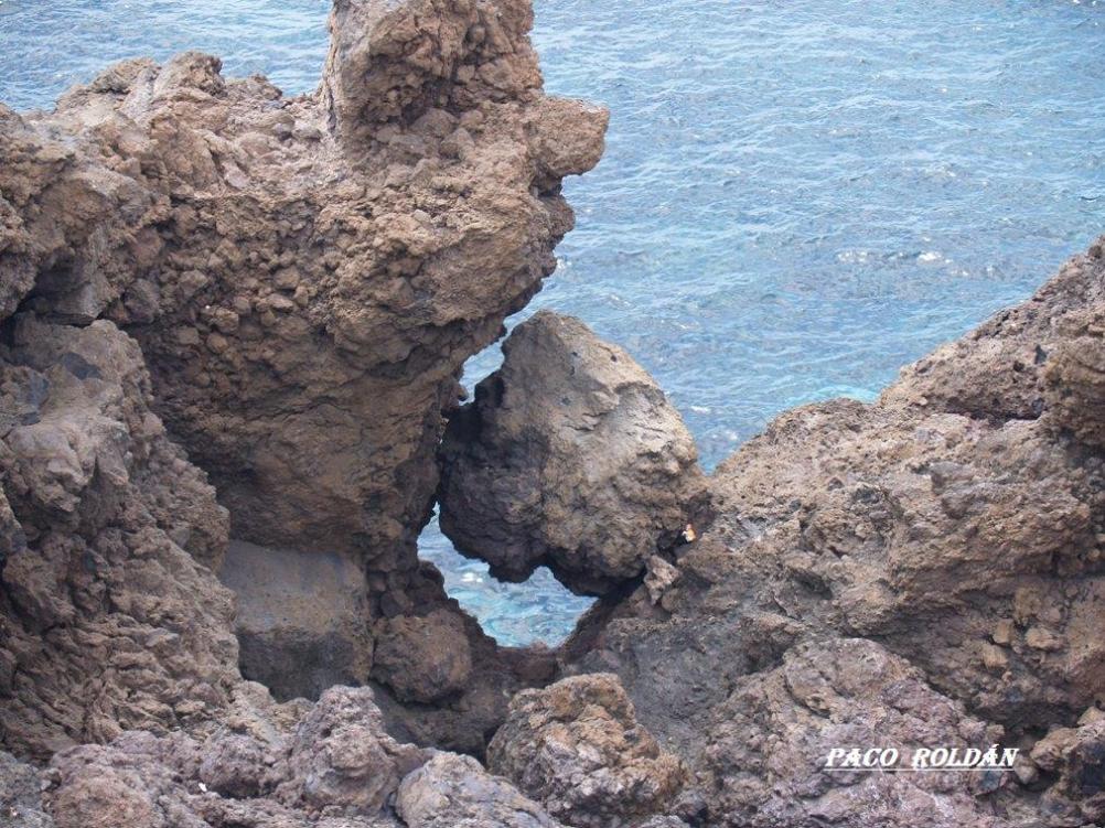 Foto de Tenerife (Santa Cruz de Tenerife), España