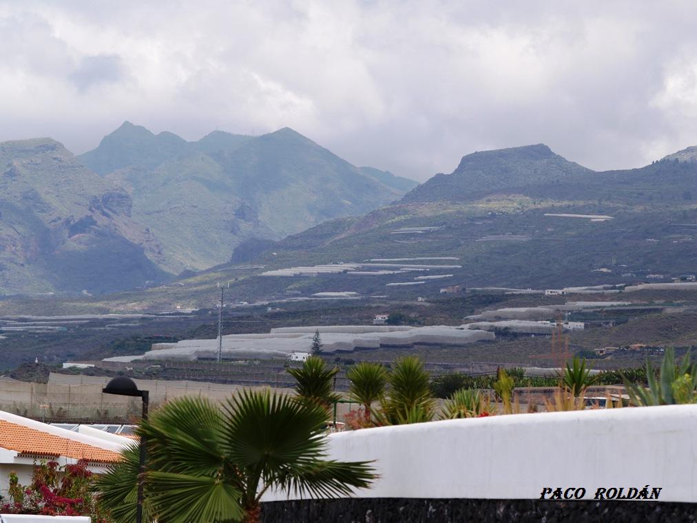 Foto de Tenerife (Santa Cruz de Tenerife), España
