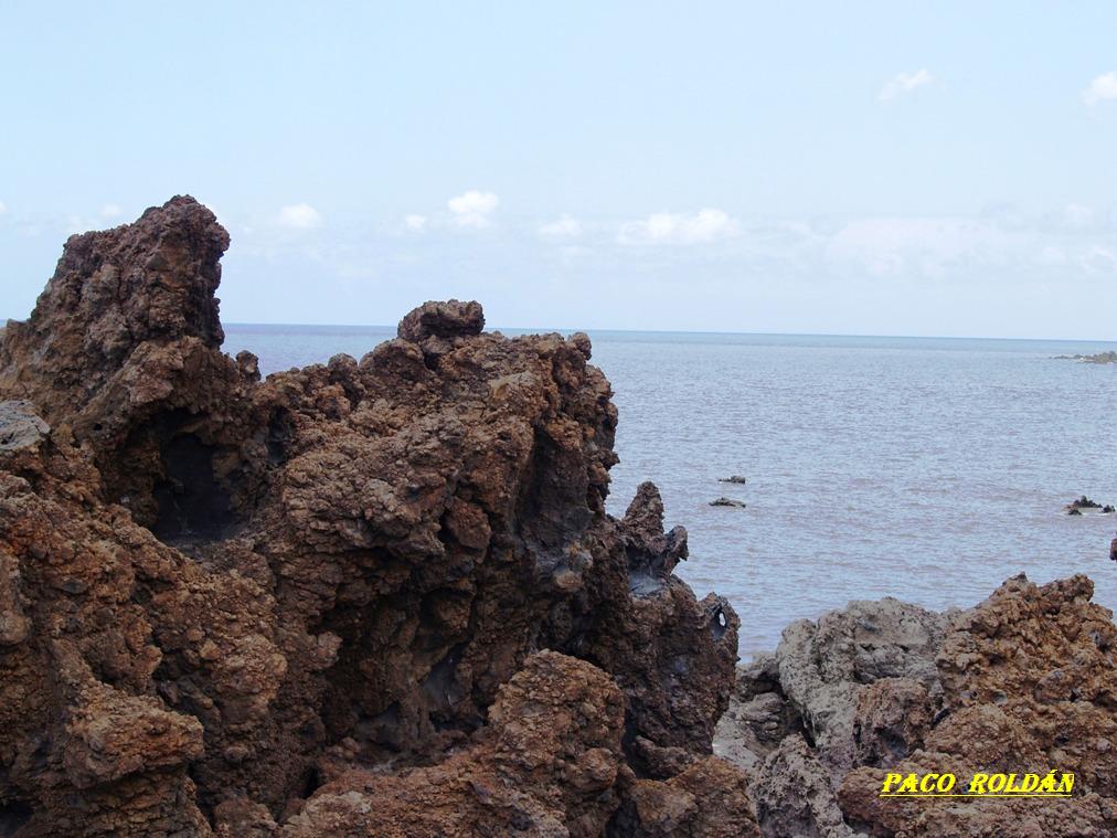 Foto de Tenerife (Santa Cruz de Tenerife), España