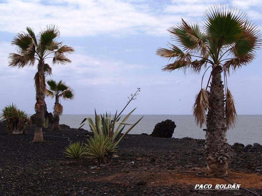 Foto de Tenerife (Santa Cruz de Tenerife), España