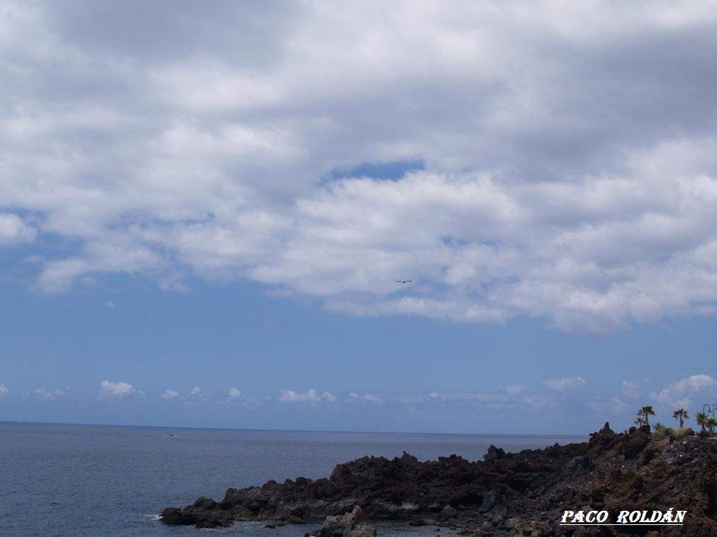 Foto de Tenerife (Santa Cruz de Tenerife), España