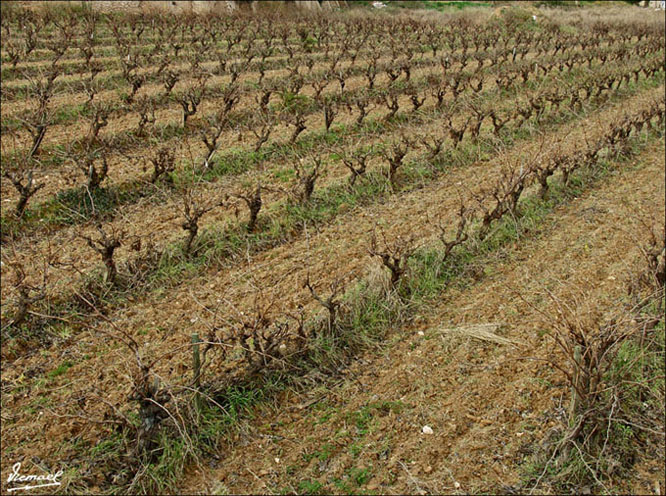 Foto de Arbós, España