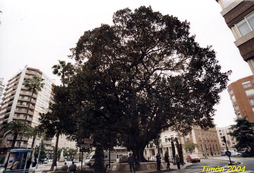 Foto de Castellón (Castelló), España