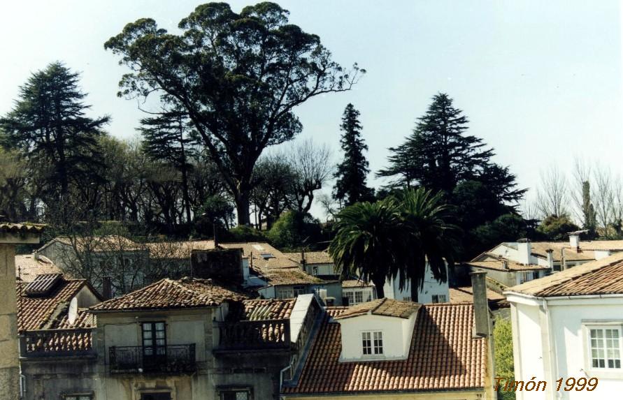 Foto de Santiago de Compostela (A Coruña), España