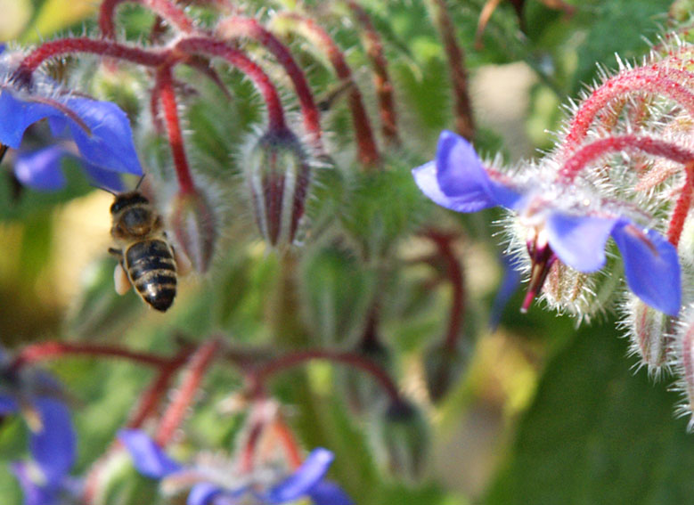 Foto de Coma-Ruga (Tarragona), España