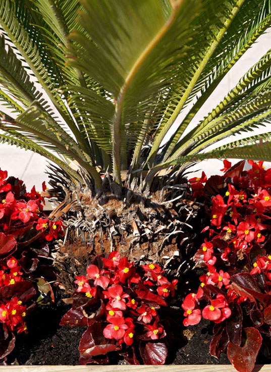 Foto de Coma-Ruga (Tarragona), España