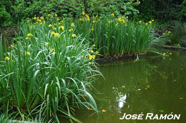 Foto de Jerez  de la Frontera (Cádiz), España