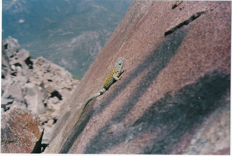 Foto de OLMUE, Chile