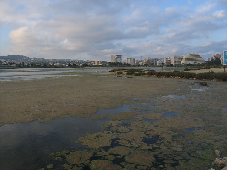 Foto de Alicante (Comunidad Valenciana), España