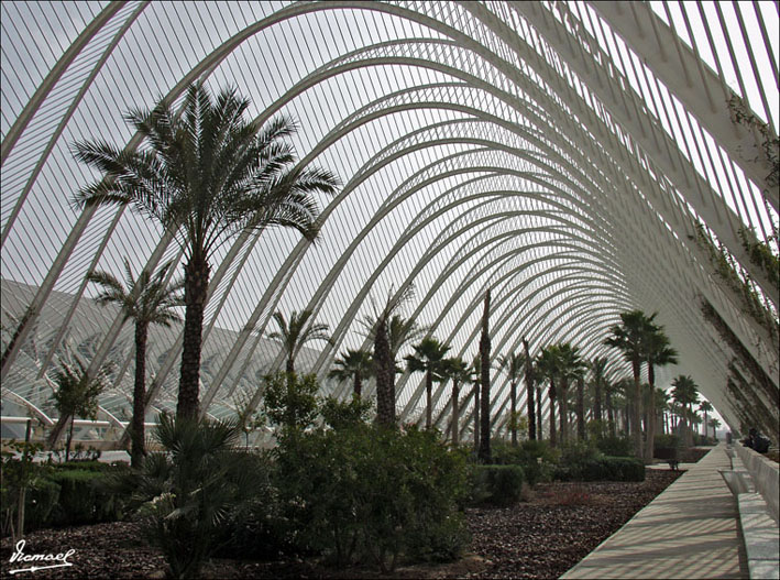 Foto de Valencia (València), España