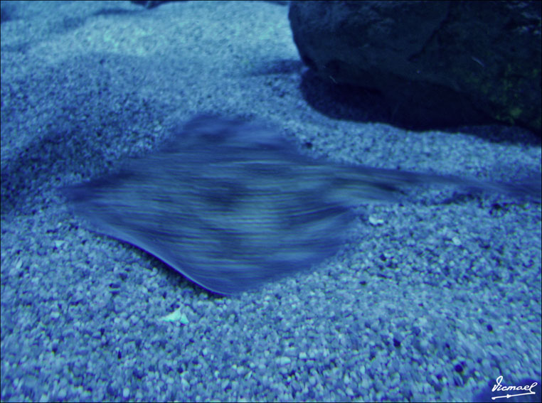 Foto de Valencia (València), España