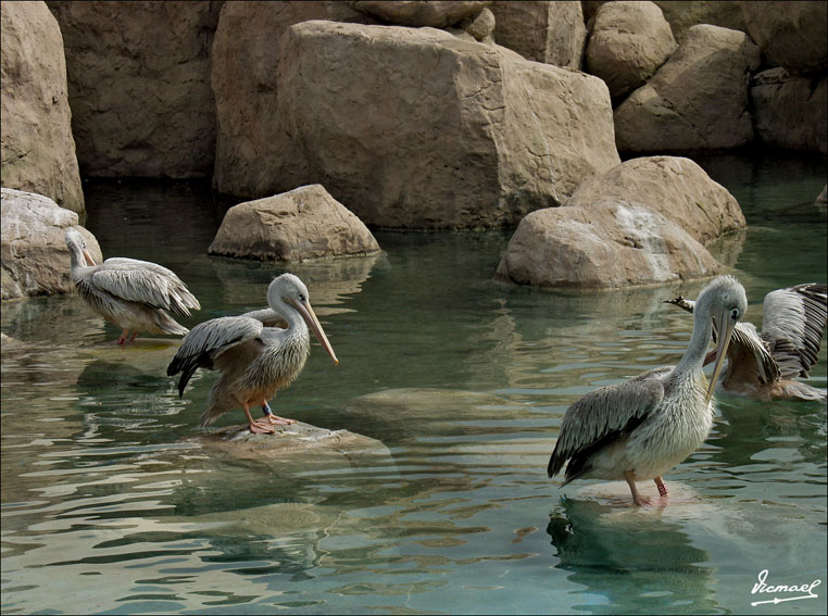 Foto de Valencia (València), España