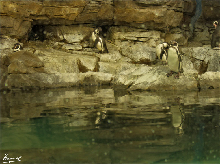 Foto de Valencia (València), España