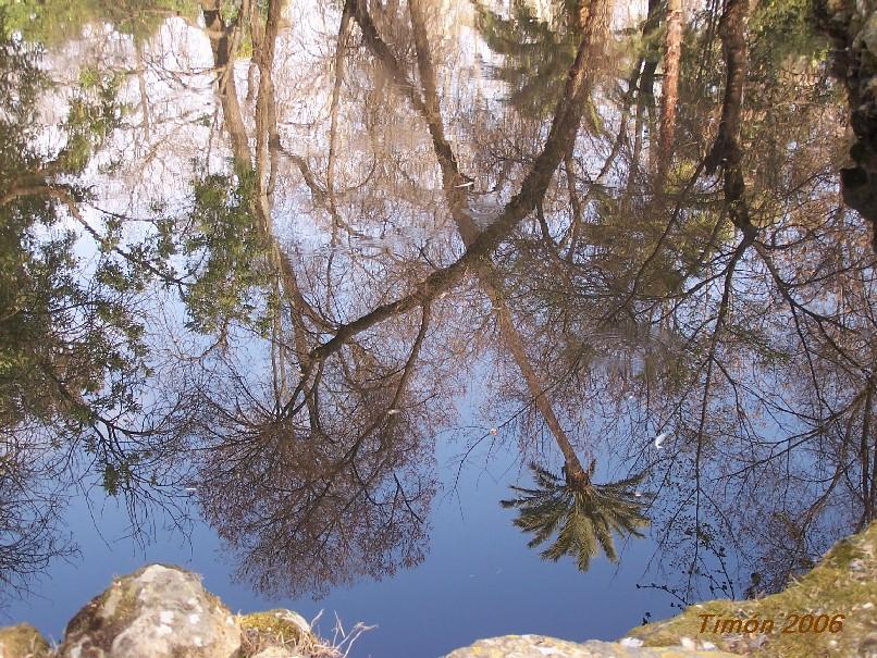 Foto de Sevilla (Andalucía), España