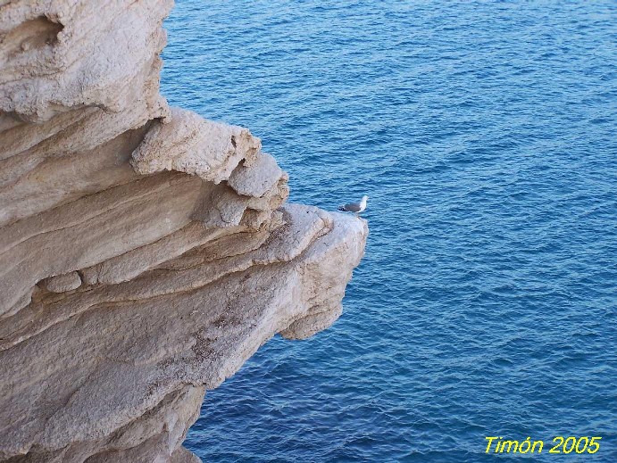 Foto de Benidorm (Alicante), España